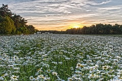20150615_26 30
